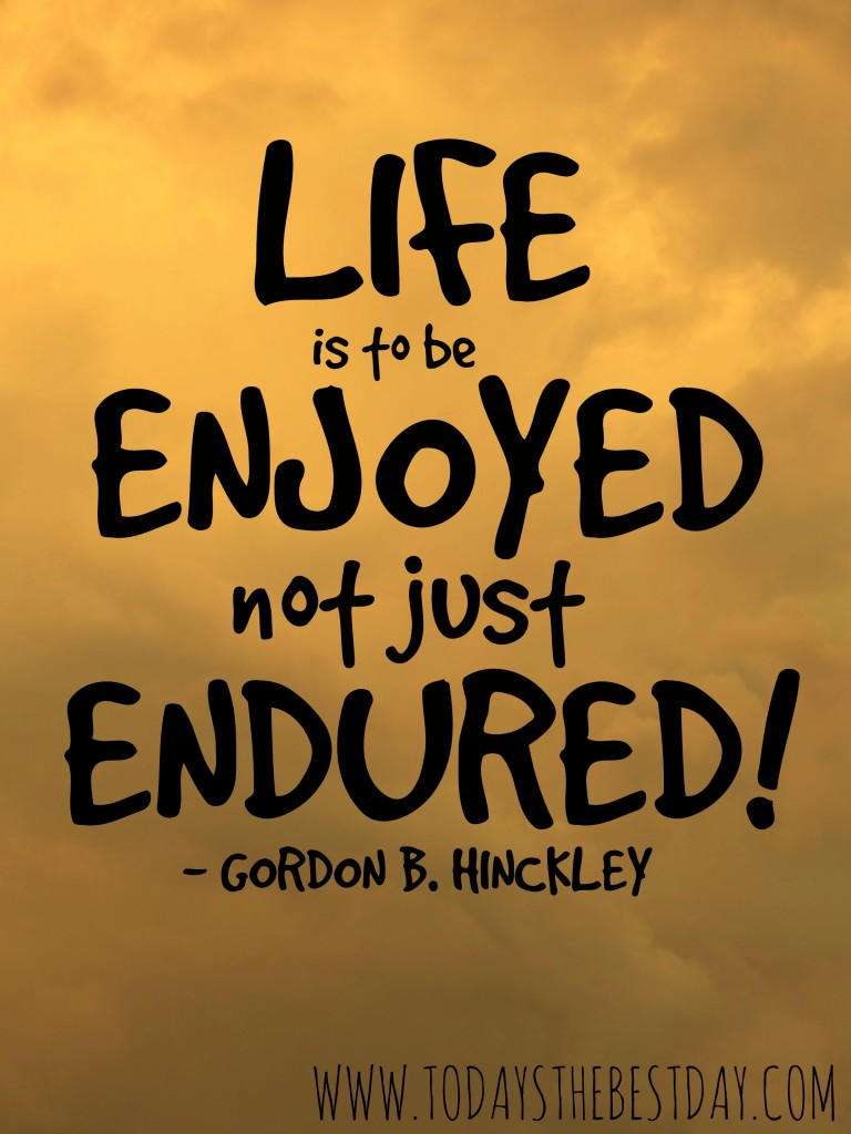 Life is to be ENJOYED, Not Just Endured