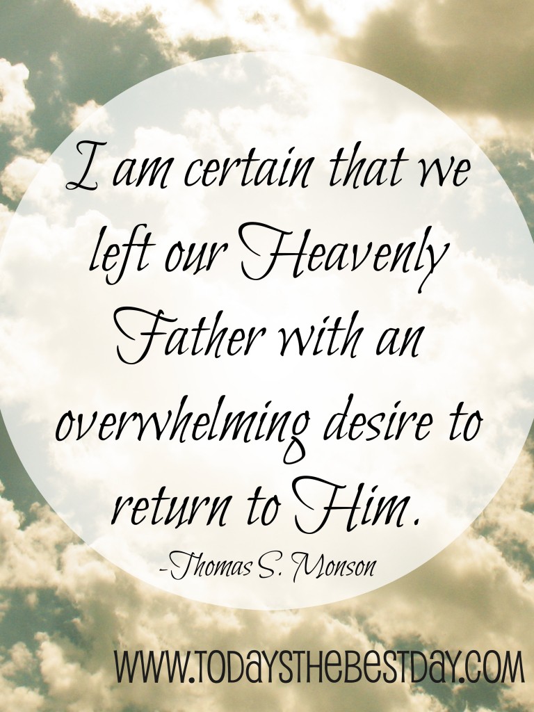 I am certain that we left our Heavenly Father with an overwhelming desire to return to Him