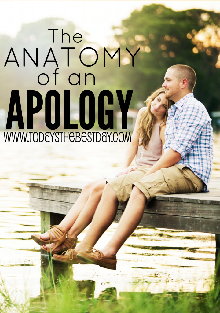 The Anatomy Of An Apology