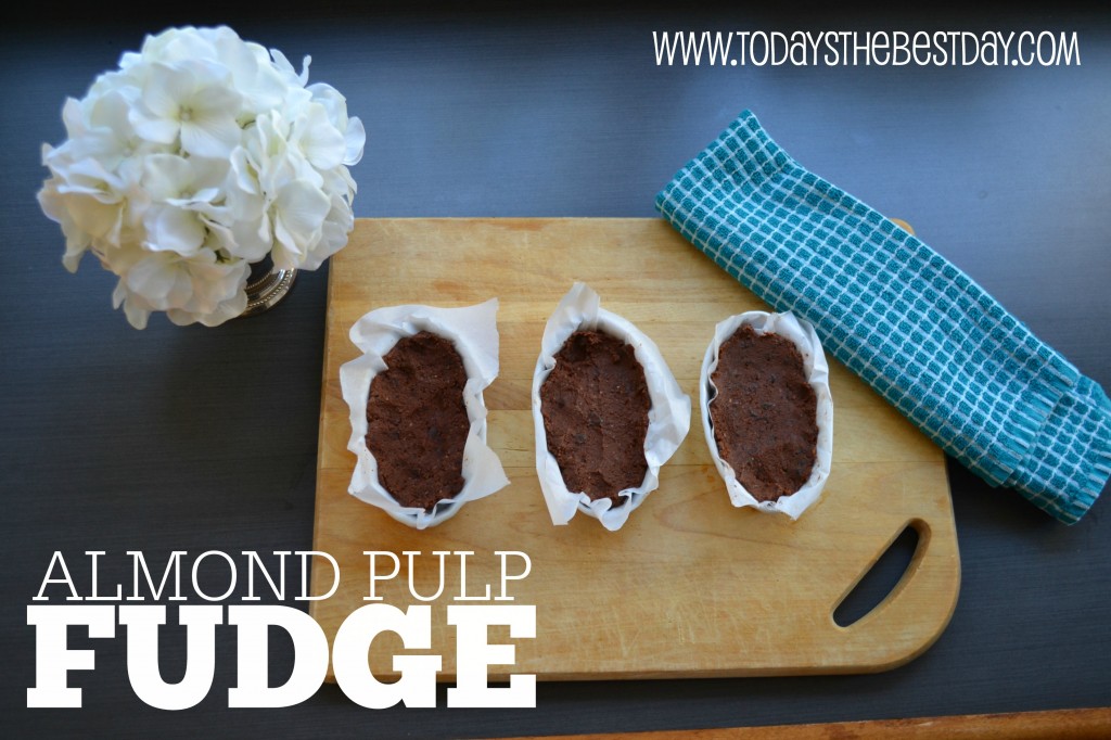 Amazing Avocado Almond Pulp Fudge - An easy and HEALTHY fudge recipe!