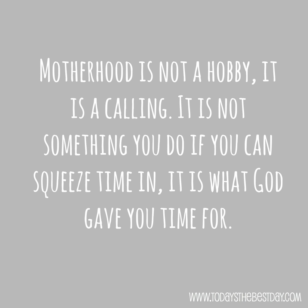 motherhood is not a hobby!