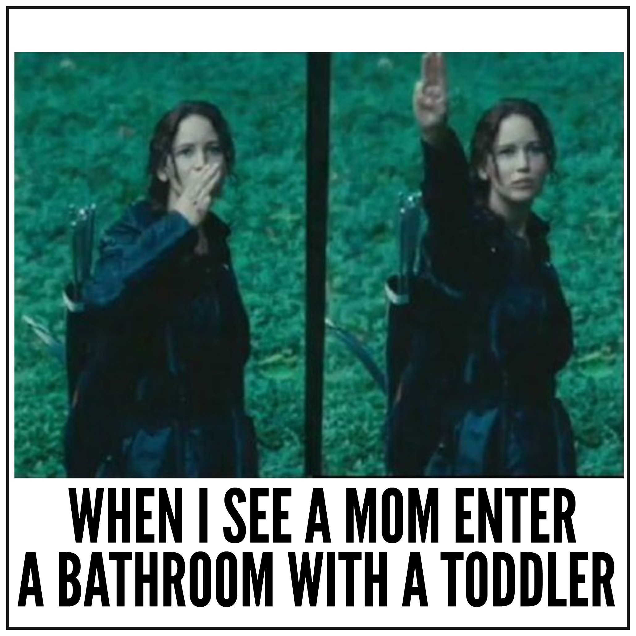 Hunger games meme