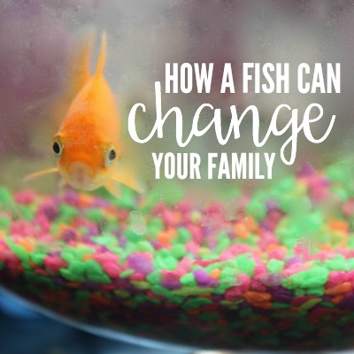 HOW A FISH CAN CHANGE YOUR FAMILY